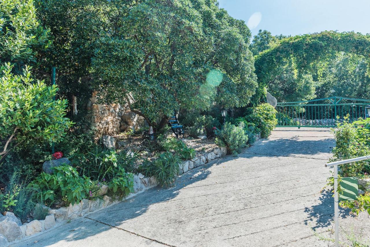 Apartments Borik ツリクヴェニツァ エクステリア 写真