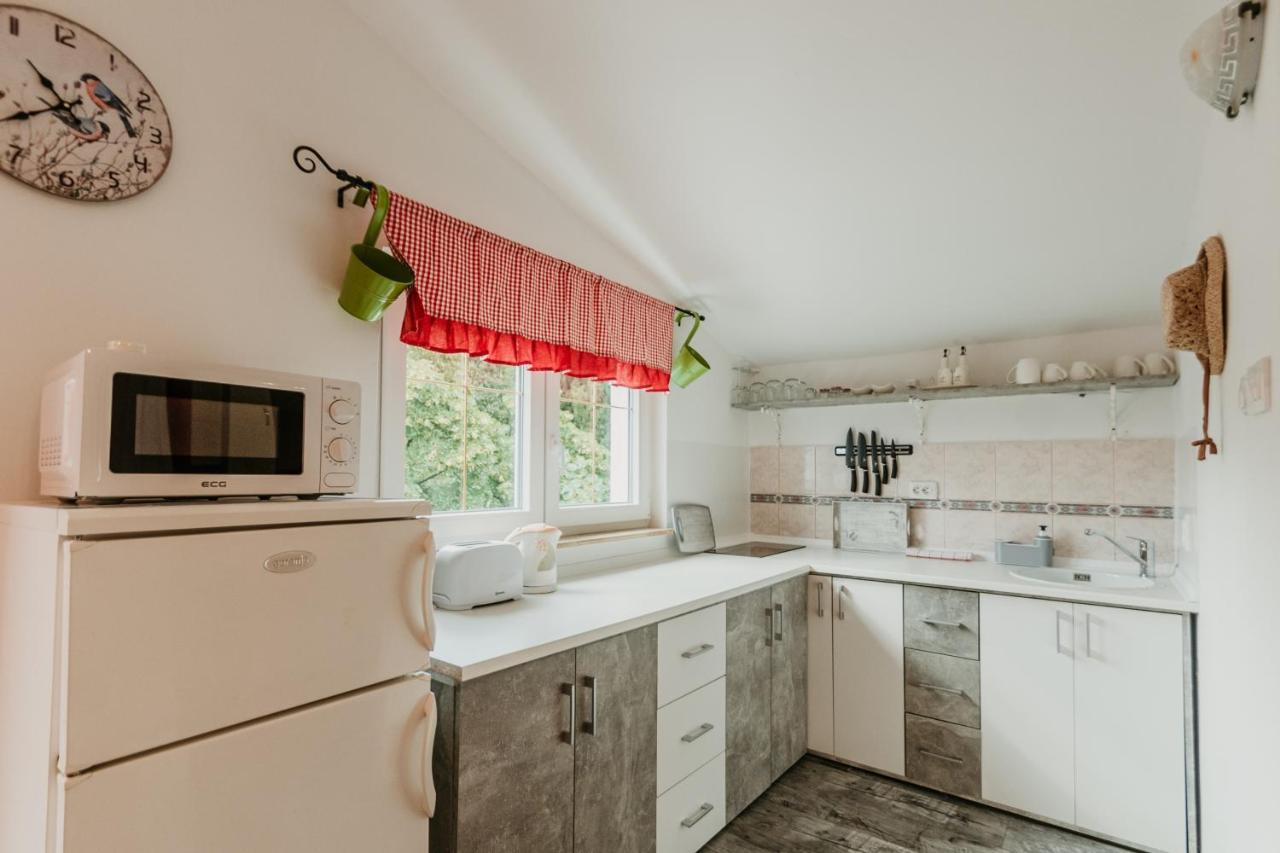 Apartments Borik ツリクヴェニツァ エクステリア 写真